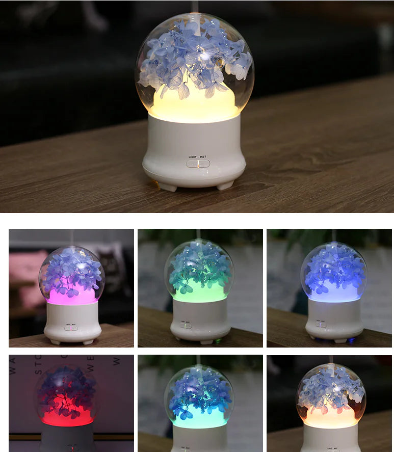 Air Purifier, Humidifier, Preserved Flower Diffuser DOCKS STORE <meta name="google-site-verification" content="Rseatwsa1XUA-B6YrmtW5G83__ddNfX79_2rJDzA1ys" />